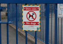 Dogs banned from play and skate parks in Bude 