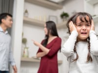 Domestic abuse intervention scheme launched to break cycle of harm