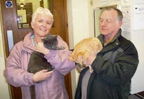 ‘Post’ helps find a home for Smokey and Doug