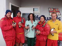 RNLI lifeguards help rescue exhausted sea birds