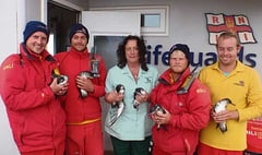 RNLI lifeguards help rescue exhausted sea birds