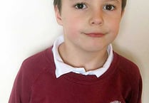 Seven-year-old to climb Snowdon to raise money for little brother