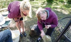 Pupils put their survival skills to the test
