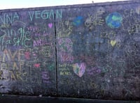 Students take part in national 'climate strike'