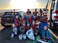 Scouts join in with Widemouth beach clean