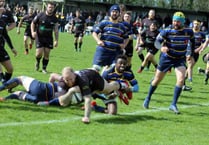 Rugby review for 2019