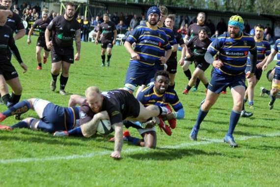 Rugby review for 2019