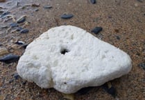 Calls for supermarket to ban the sale of polystyrene bodyboards