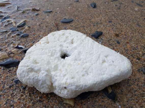 Calls for supermarket to ban the sale of polystyrene bodyboards