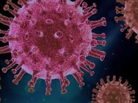 Coronavirus confirmed in Holsworthy