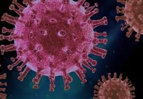 Coronavirus confirmed in Holsworthy
