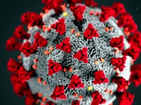 Coronavirus deaths reach 21 in Cornwall