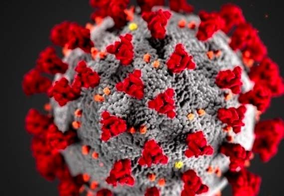 Three more Coronavirus deaths recorded in Cornwall