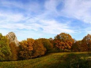 Public invited to voice planning ideas to help tackle climate change