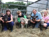 A rare occurrence — triplet calves born at family farm