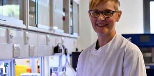 Breakthrough for animal free diabetes research