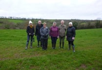 A winter walk in Chilsworthy