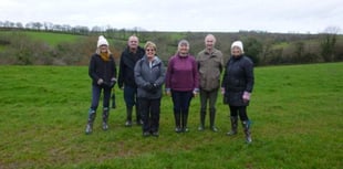 A winter walk in Chilsworthy