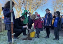 South Petherwin Primary School plant cherry tree