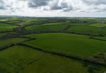 Derril Water Solar Farm promoters acquired by rival after becoming insolvent