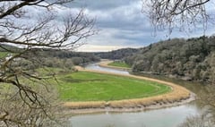 Residents to vote on housing in Calstock