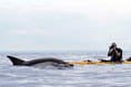 Funds from kayak photographer’s presentation to support Ukraine