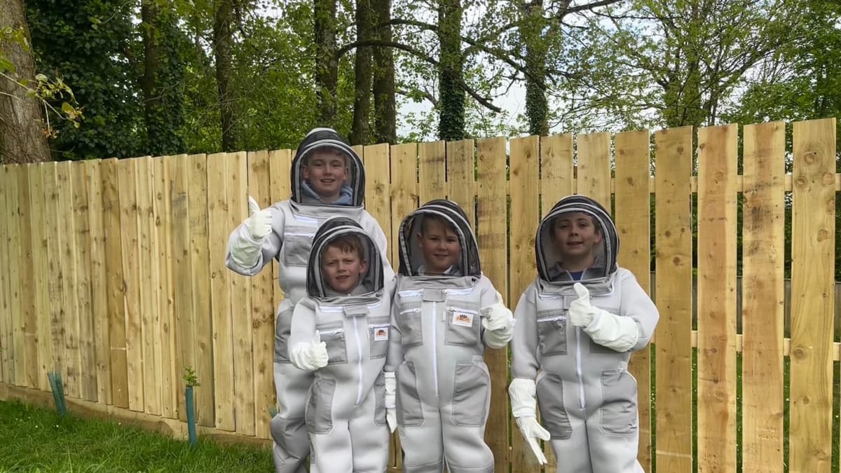 Primary School’s bees arrive | bude-today.co.uk