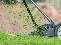 Tips for successful first cut of the year for lawns