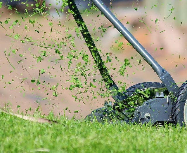 Tips for successful first cut of the year for lawns