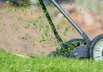 Tips for successful first cut of the year for lawns