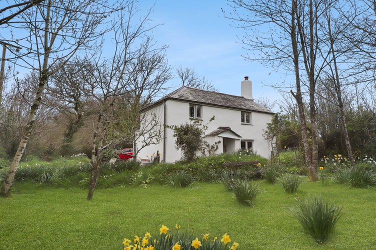 bude nature house