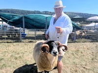 Agricultural show cancelled amid rising prices