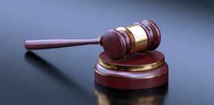 Found guilty of animal cruelty