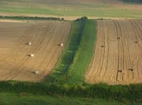 Higher rates and market uncertainty keep buyers cautious