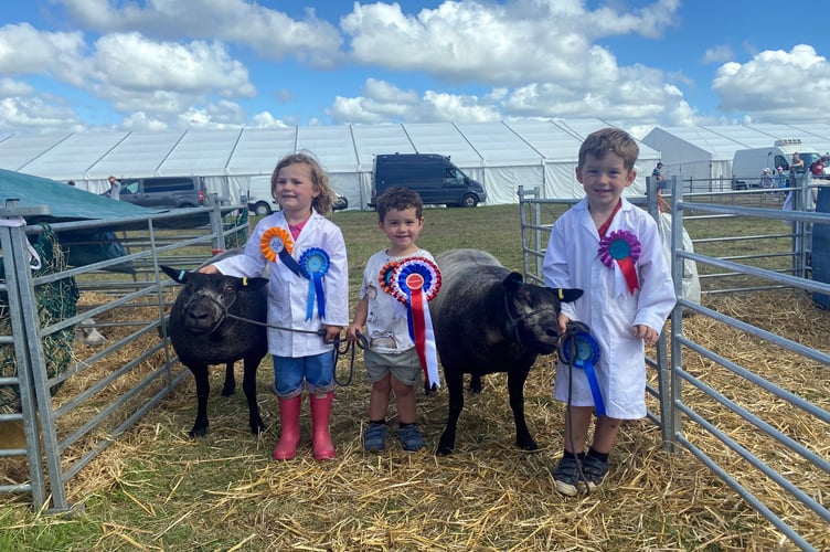 It was a family affair for the Renfree's of Altarnun once again, with the youngest members of the family taking the lead and bulking up the family's impressive collection of rosettes. Pictured left to right are Rosie Renfree (3), Lowen Renfree (2) and Jago Renfree (4) with their Blue Texel sheep Doris and Sparkle. On the day the team came away with many impressive wins including Champion Native with a Hampshire ram and Champion Roussin with their shearling ewe