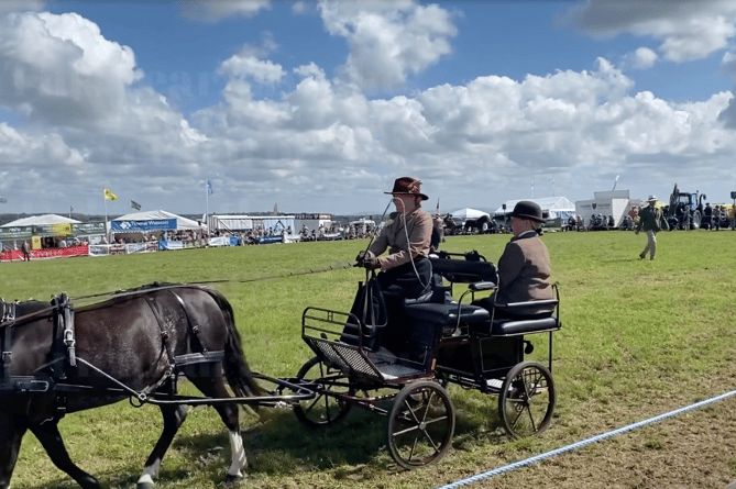 Holsworthy Show Horse and Cart