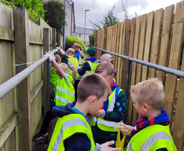 Litter pick for the community
