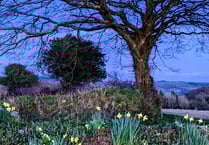 Drawn to Cotehele open throughout October