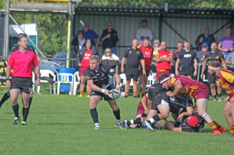 Launceston scrum-half Adam Collings prepares to make a pass during their Regional One South West derby with Okehampton at Polson Bridge on Saturday, September 24.