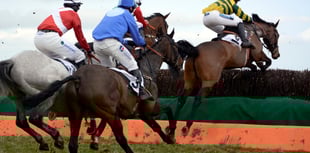 Point to point heads to Devon over bank holiday weekend 