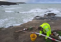 Mystery skeleton may be of shipwrecked sailor