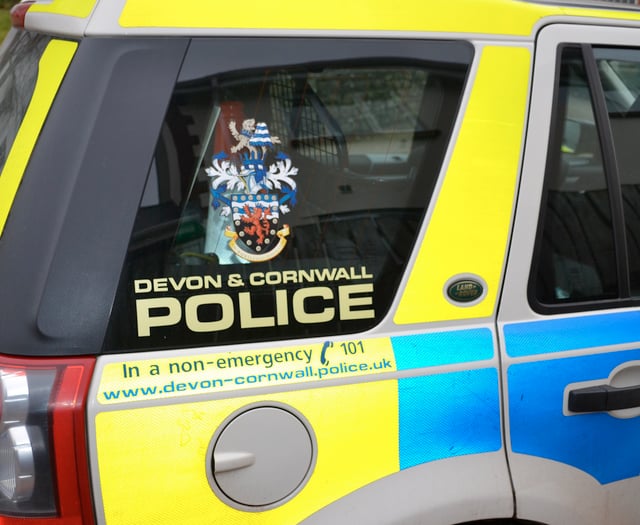 Arson investigation launched