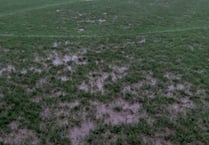 Three SWPL games survive the latest downpour