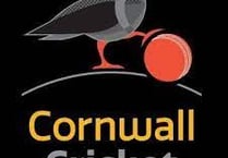 Cornwall make two changes for Wiltshire clash