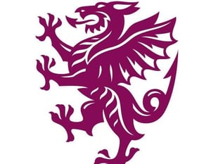 Somerset sign Black Caps seamer