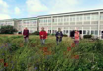 Upcoming green events in Camelford