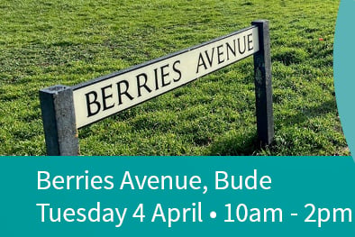 Berries Avenue