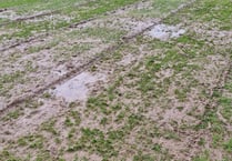Callington, Torpoint, Launceston and Dobwalls matches all off  