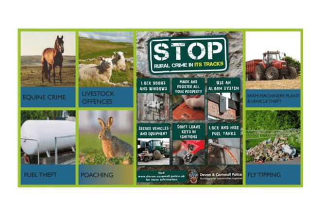 stop rural crime in its track infographic