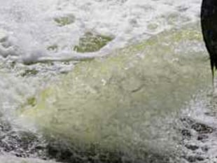 Cornwall’s Conservative MP’s deny sewage vote claims